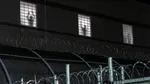 مرگ ۳ نفر در بازداشتگاه‌های مهاجرتی؛ مراقبت‌های پزشکی حلقه گمشده سیاست‌های ضد مهاجرتی آمریکا