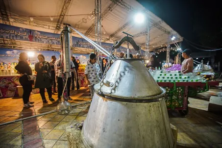 جشنواره گل و گلاب