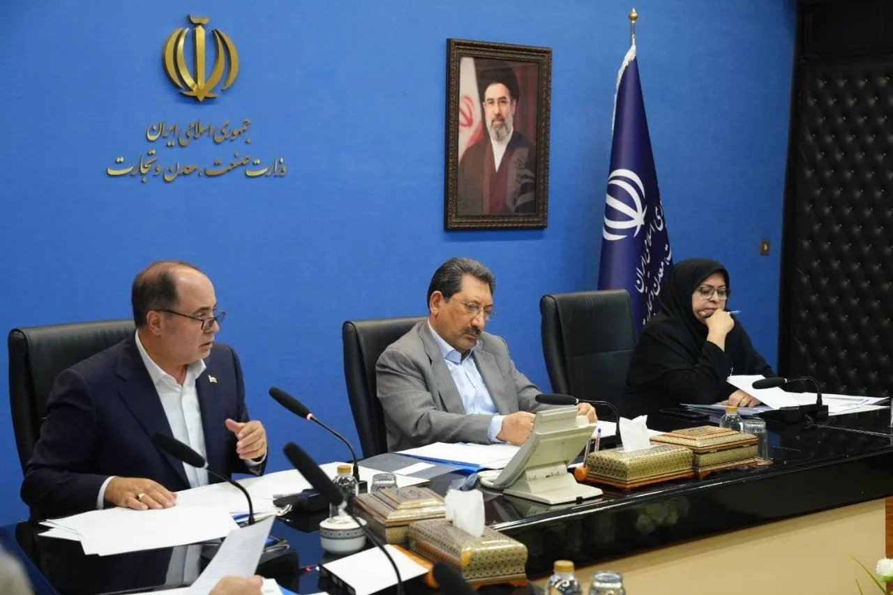 اتابک: دولت اختیارات لازم را به تشکل‌های بخش خصوصی تفویض می‌کند