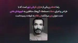 رگبار مسلسل برای پیرمردی که از کوکتل مولوتف نترسیده بود!
