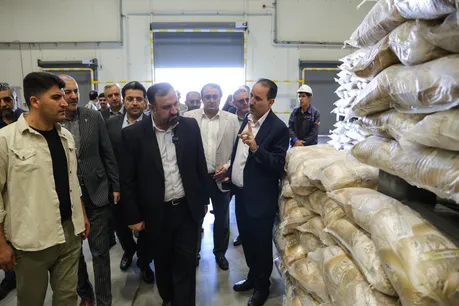 بازدید دادستان تهران از گمرک و بندر خشک ریلی آپرین