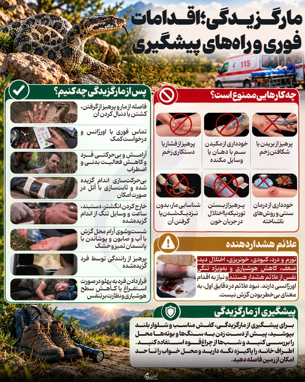 اینفوگرافیک | مارگزیدگی؛ اقدامات فوری و راه‌های پیشگیری