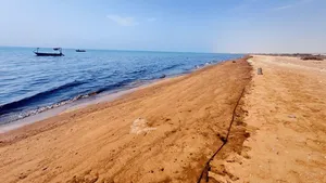 پایان عملیات مقابله با آلودگی نفتی در سواحل قشم و هنگام