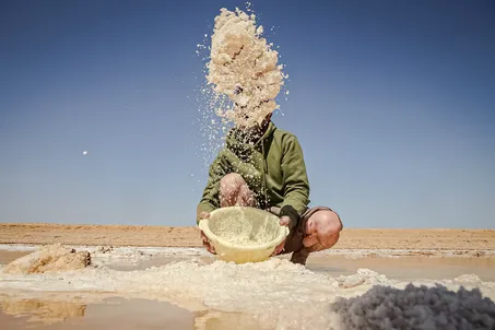 برداشت سنتی نمک