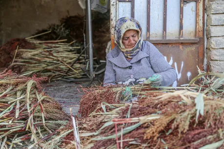 هنر بومی «جاروبافی» در روستای ملاحسن خراسان شمالی