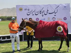 پایان هفته ششم لیگ ملی چوگان با معرفی تیم‌های برتر