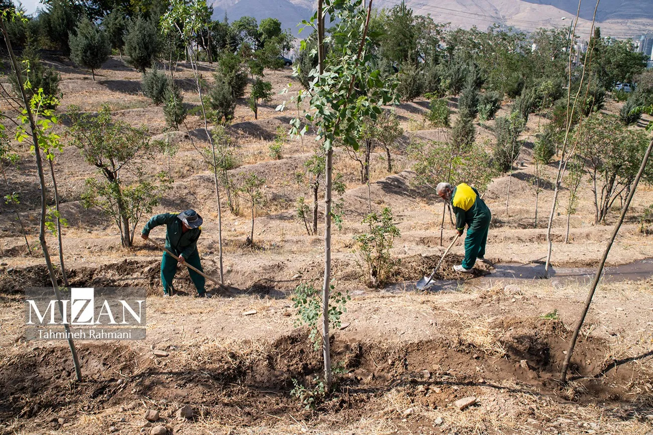 بوستان‌های تهران در مسیر گذار از آبیاری سنتی به سمت آبیاری هوشمند/ تلاش برای جایگزینی پساب تصفیه‌شده به‌جای منابع زیرزمینی است