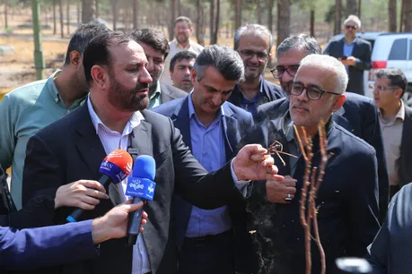 بازدید دادستان تهران از پارک جنگلی چیتگر