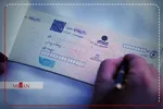 اینفوگرافیک | مطالبه خسارت تاخیر تادیه وجه چک در فرض اعسار