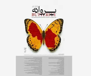دیپلماسی ادبیات و حافظه انسانی؛ «پروانه» در مسیر گفت‌وگوی جهانی صلح