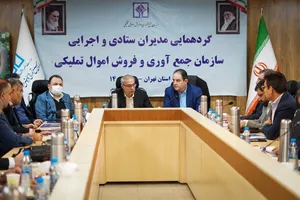 شیونامه خاص سامانه یکپارچه اموال‌تملیکی تدوین می‌شود