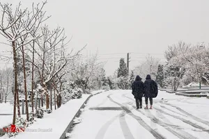 بارش برف در آخرین روز بهمن، مناطقی از کشور را سفیدپوش کرد