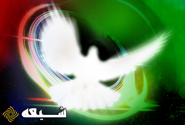 شیعه عربستانی به دلیل سفر به قم بازداشت شد