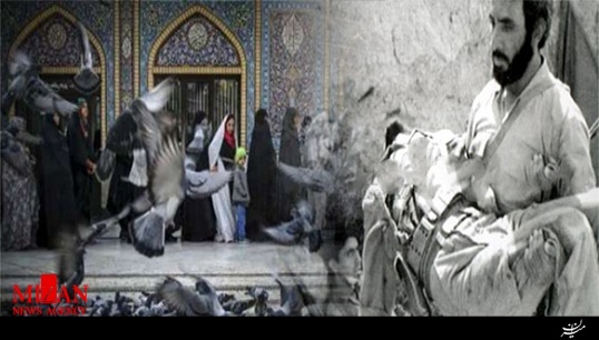 فرجالله سلحشور فرجالله سلحشور
