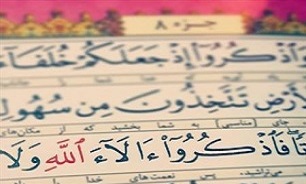 شکر نعمت