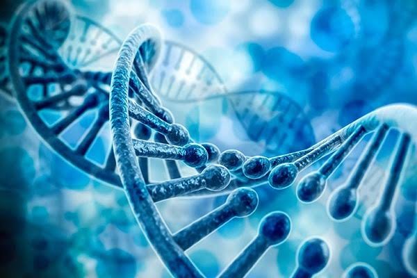 DNA تمام موجودات رمزگشایی می شود