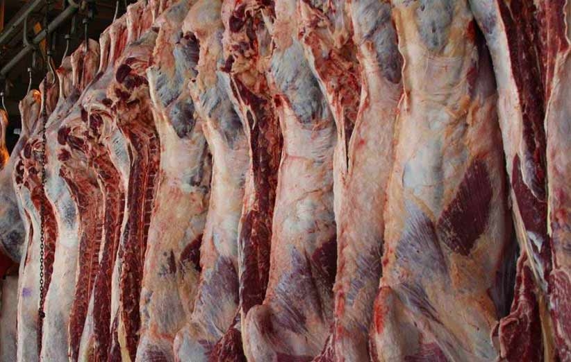 واردات گوشت قرمز