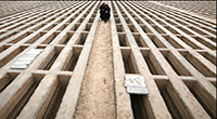 600 هزار جنازه روی دست تهرانی‌ها