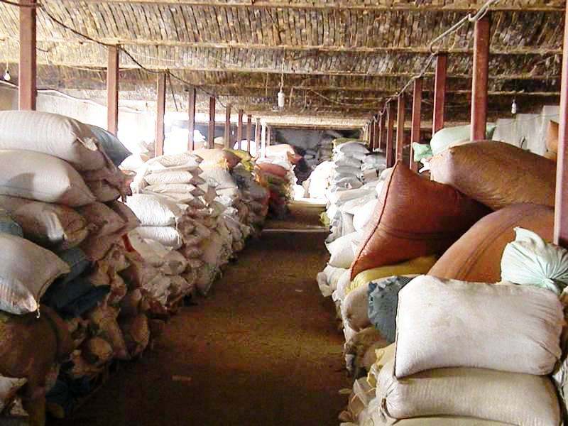 كشف بيش از 4 تن گياهان دارویی و نمك غير بهداشتی