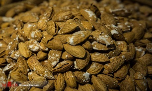 قکشف گردوی قاچاق
