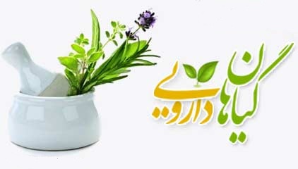 حمایت وزارت جهاد کشاورزی از فرآوری گیاهان دارویی