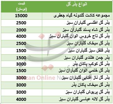 خرید بذر گل چقدر هزینه بر است؟ + جدول قیمت خرید بذر گل چقدر هزینه بر است؟ + جدول قیمت