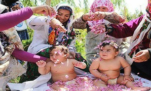آیین جشن گل‌غلتان کاخک گناباد ثبت ملی می‌شود
