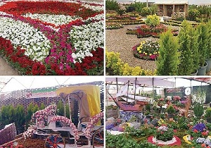 محلات؛ پایتخت گل‌ و گیاه