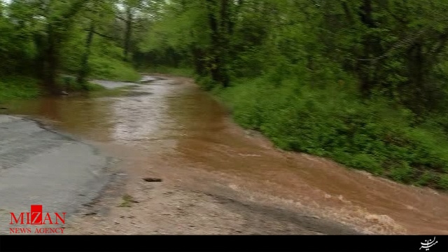 طوفان در آمریکا 2 کشته و 55 زخمی برجای گذاشت