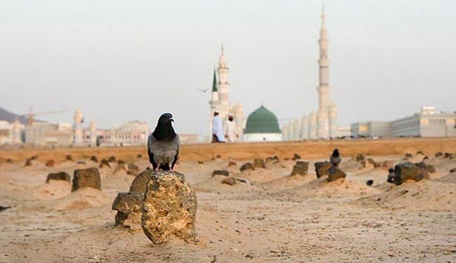 امام سجاد