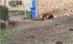 کشته شدن ۲ انتحاری در تکریت