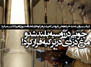 وقتی که پرده ها فرو افتاد...