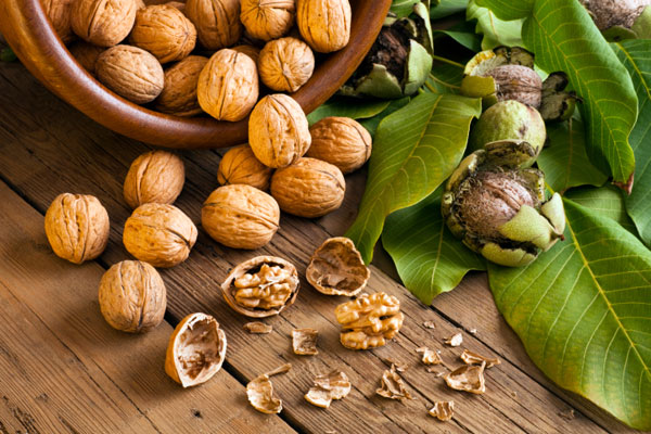این میوه غذای مغز است