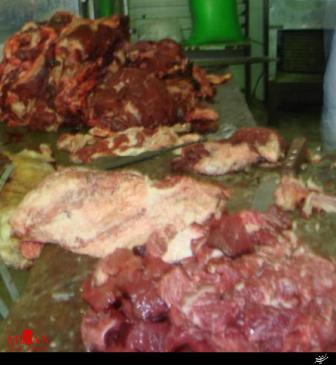 گوشت فاسد