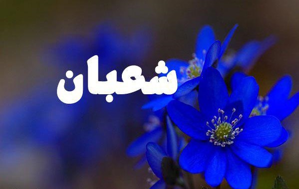 ماه شعبان