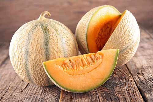 طبع طالبی گرم است یا سرد؟