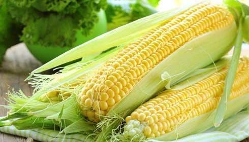 ذرت دارویی آرامبخش برای اعصاب و روان