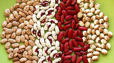 لوبیا برای این افراد سم است + خواص درمانی