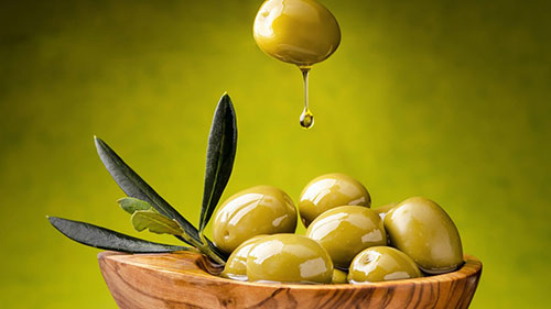 خاصیت شفابخشی در برگ، میوه و روغن زیتون