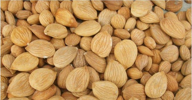 آشنایی با خواص شگفت انگیز هسته زردآلو