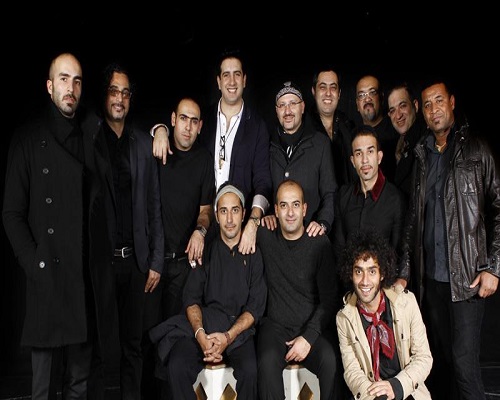 گروه دارکوب گروه دارکوب