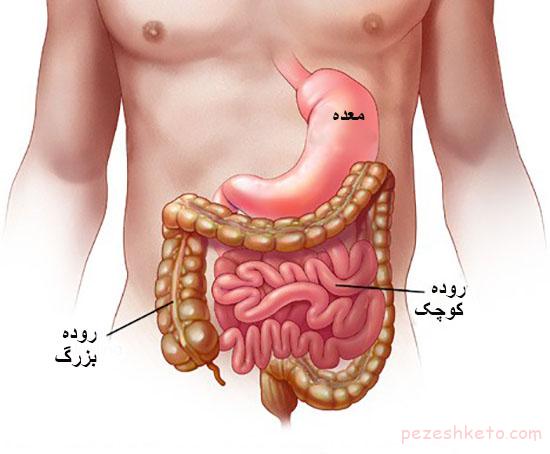 پاکسازی روده با دستورالعمل طب سنتی