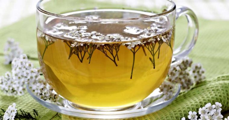 عرق «بومادران» و فوایدی که در مورد آنها نمی دانیم
