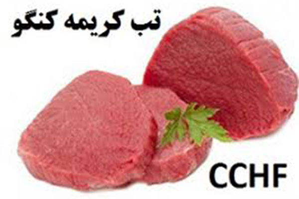 تب تب