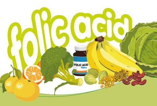 رابطه اسیدفولیک و ابتلا به آلزایمر
