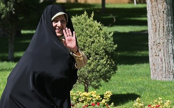 رئیس سازمان حفاظت محیط زیست امروز به همدان سفر می‌کند