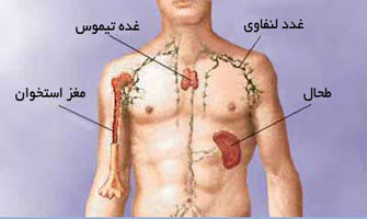علائم و عوارض بزرگ شدن طحال کدام است؟