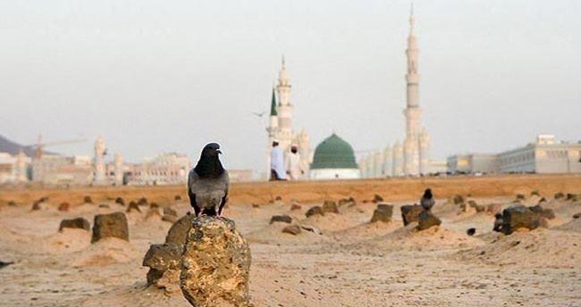 امام حسن مجتبی
