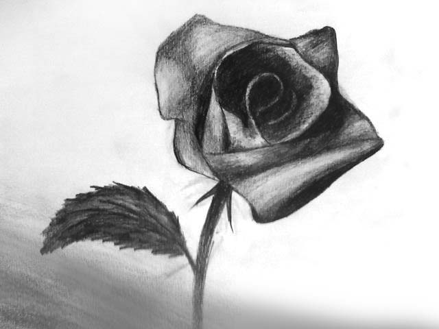 عکس/ طراحی با مداد