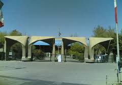 کشف یک جنین در حیاط دانشگاه تهران
